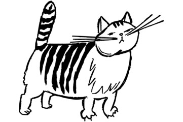 Striped Cat
