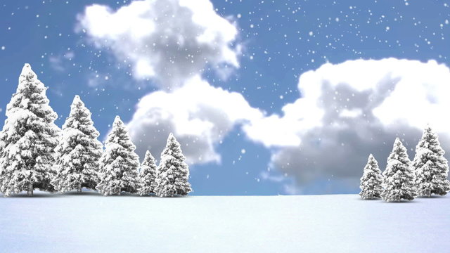 Christmas Trees and Snow