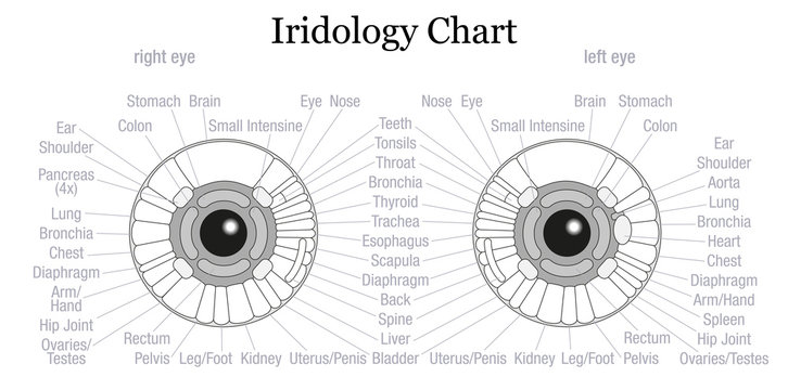Iris Diagnosis Chart Eye Outline
