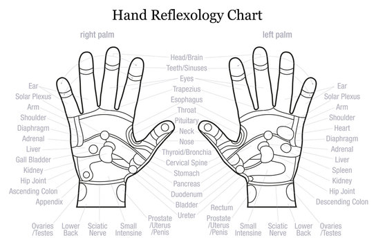 Hand reflexology chart description outline