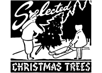 Selected Christmas Trees