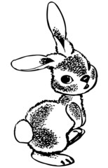 Obraz premium Rabbit