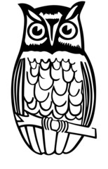 Obraz premium Owl On Branch