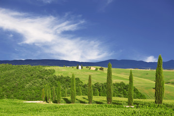 Fototapeta na wymiar Tuscany, green landscape with hills and cypress trees, italy