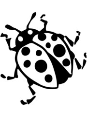 Ladybug