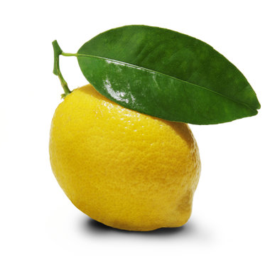 Zitrone