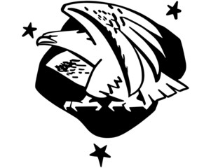 Eagle Icon