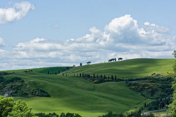 Obraz premium Toskana