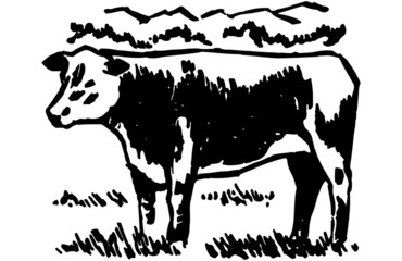 Cow