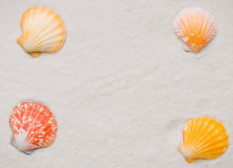 shell frame  - illustration based on own photo image