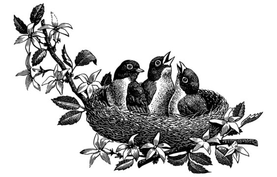 Bird's Nest Nature Art with Mixed Media – Faber-Castell USA