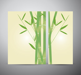 Fototapeta premium Bamboo with leaves. Brochure business design template or roll up