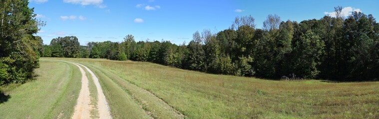 Field at the University of Mississippi Field Station