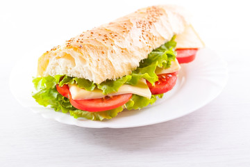 Fresh and tasty sandwich