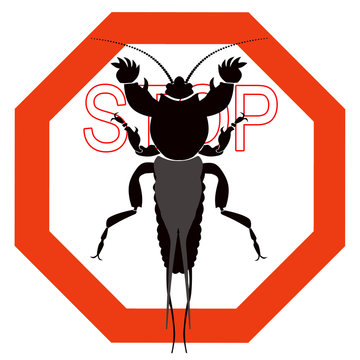 mole cricket silhouette stop