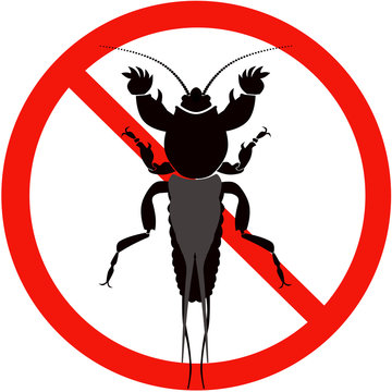 mole cricket silhouette