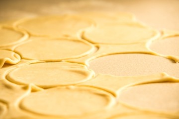 dumplings production