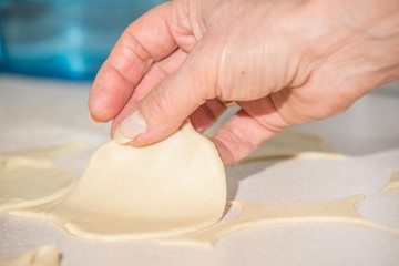 dumplings production