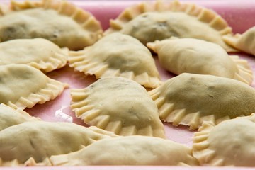 dumplings production