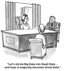 "Let's shrink Big Data into Small Data... Great Data."