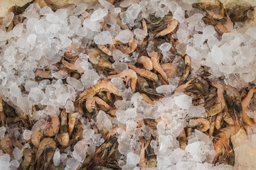 Shrimps on sale at Greek island Kalymnos market