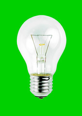Light bulb isolated on green background.