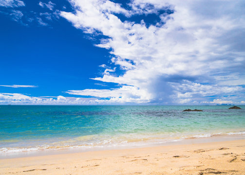 Serene Waters Shore Landscape