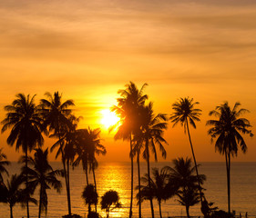 Obraz premium Sunset Divine Evening Scene