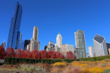 Chicago in autumn