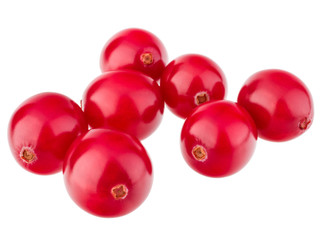 cranberry  isolated on white background cutout