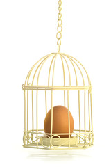 PROTECTION - An egg placed inside a bird-cage for protection.