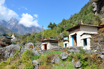 Fototapeta na wymiar Непал, Гималаи, долина Кхумбу. Атрибуты буддизма