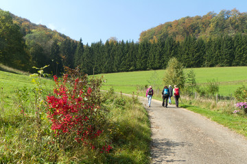 Obraz premium Wanderung