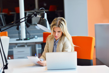 Successful business woman and man working at the office