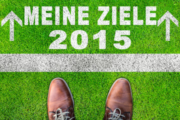 ziele 2015