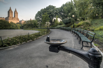 Central Park, New York City summer