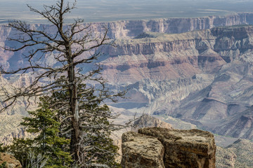 Grand Canyon, north rim