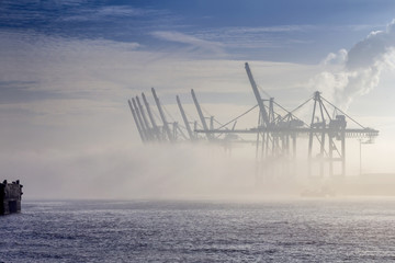 Container Cranes in the Fog