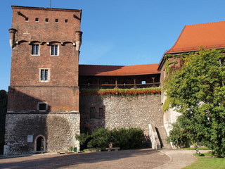 Fototapeta na wymiar Schloss Wawel in Krakau