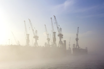 silhouette of cranes in fog