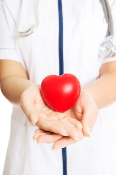 Close up female doctor holding heart model