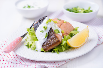 Grilled red fish fillet