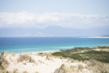 Beautiful Scenic coast Bay of Fires Tasmania