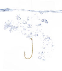 Fish Hook Under Water