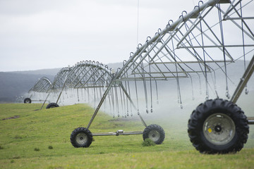 Irrigation by Pivot sprinkler system on grass field