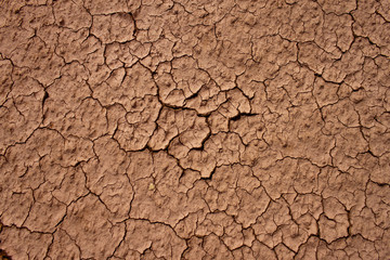 Dry cracked dirt