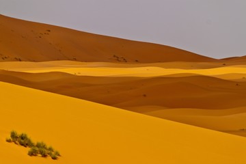 Erg Chebbi