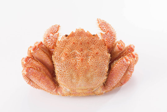 蟹