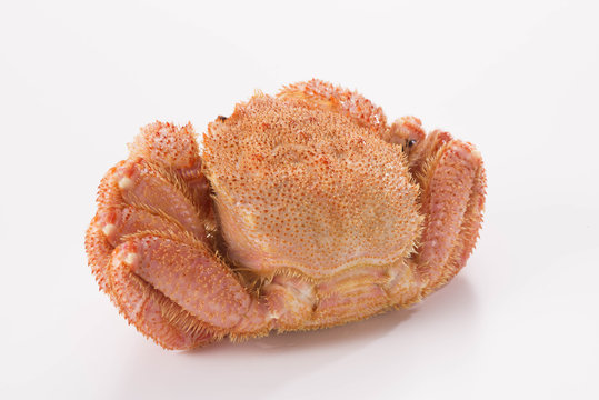 毛蟹