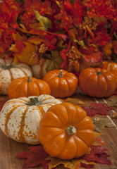 Colorful autumn leaves and pumpkins